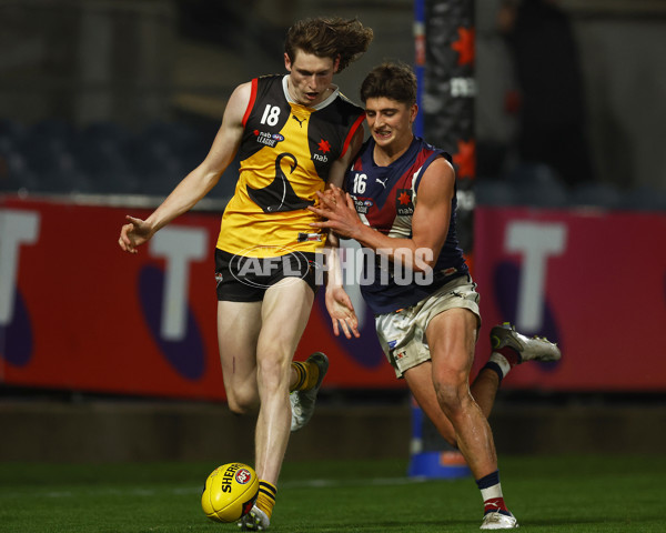 NAB League Boys 2022 Grand Final - Dandenong v Sandringham - 1007236