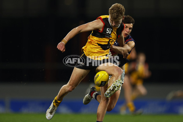 NAB League Boys 2022 Grand Final - Dandenong v Sandringham - 1007256