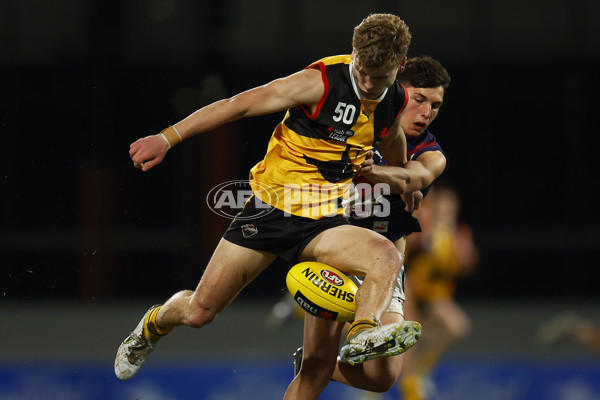 NAB League Boys 2022 Grand Final - Dandenong v Sandringham - 1007254