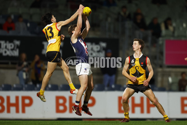 NAB League Boys 2022 Grand Final - Dandenong v Sandringham - 1007269