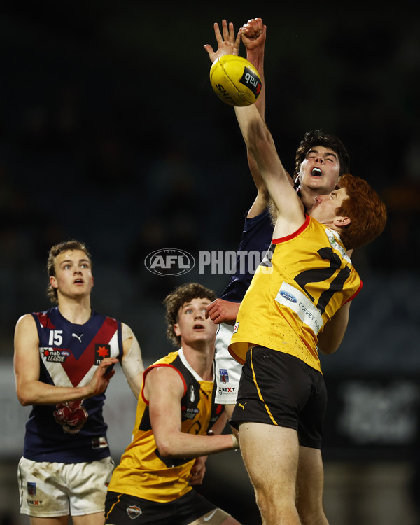 NAB League Boys 2022 Grand Final - Dandenong v Sandringham - 1007529