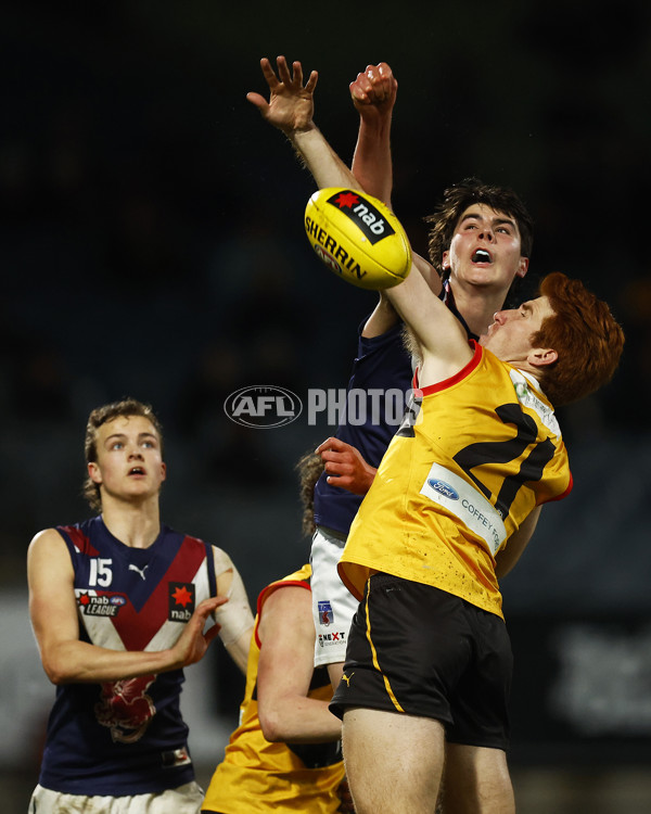 NAB League Boys 2022 Grand Final - Dandenong v Sandringham - 1007528