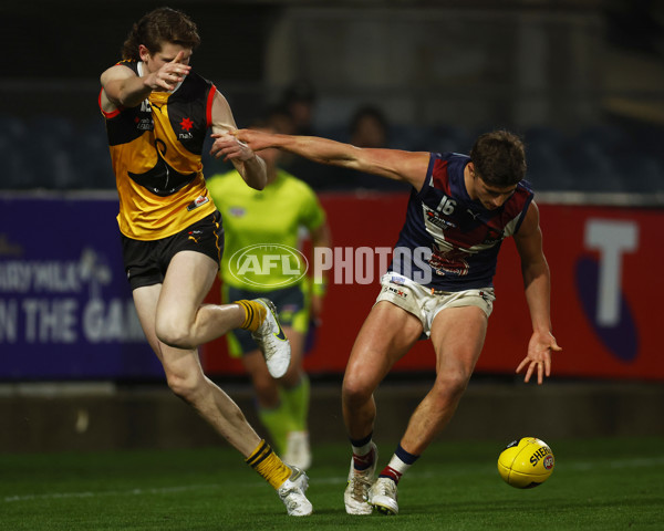 NAB League Boys 2022 Grand Final - Dandenong v Sandringham - 1007569