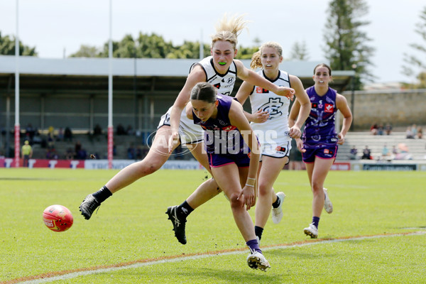 AFLW 2022 S7 Round 04 - Fremantle v Carlton - 1008663