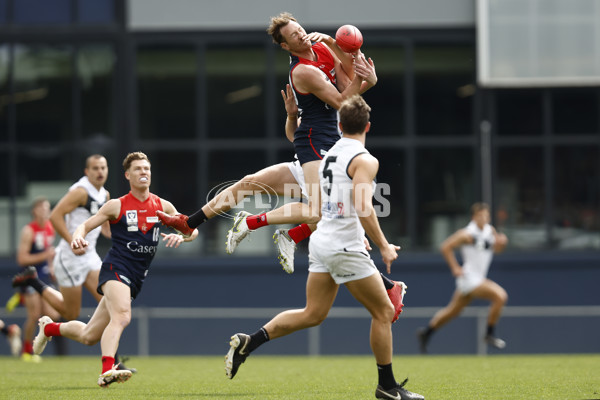 VFL 2022 Grand Final - Casey v Southport - 1009061