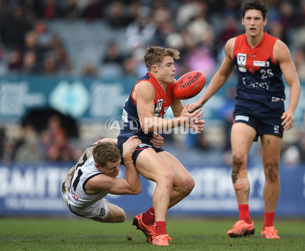 VFL 2022 Grand Final - Casey v Southport - 1009105