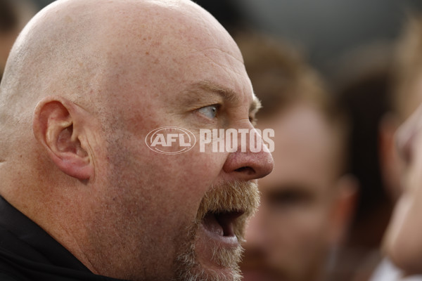 VFL 2022 Grand Final - Casey v Southport - 1009326