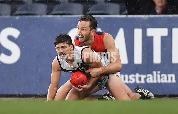 VFL 2022 Grand Final - Casey v Southport - 1009461