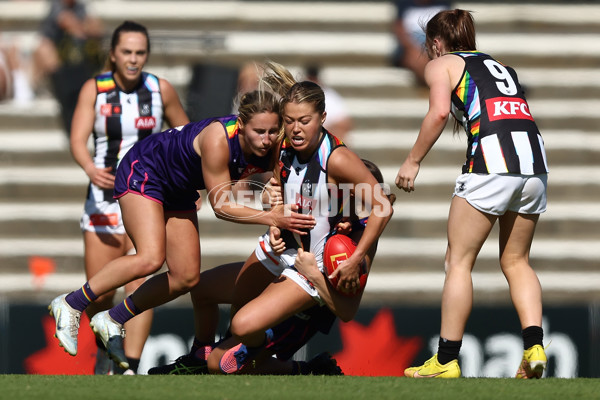 AFLW 2022 S7 Round 08 - Fremantle v Collingwood - 1018123