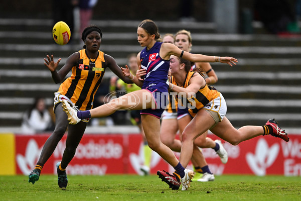 AFLW 2022 S7 Round 10 - Fremantle v Hawthorn - 1020028