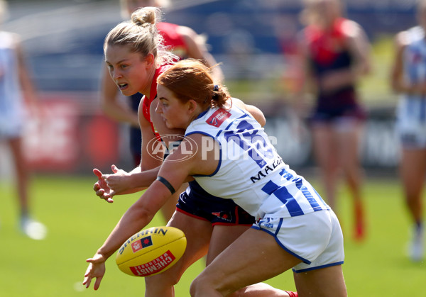 AFLW 2022 S7 Second Preliminary Final - Melbourne v North Melbourne - 1023368