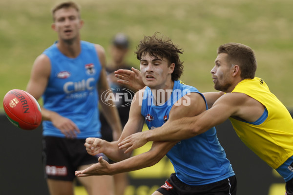 AFL 2023 Training - St Kilda 010223 - 1027803