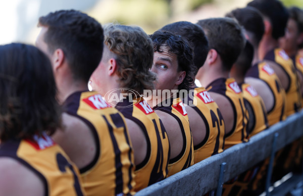 AFL 2023 Media - Hawthorn Team Photo Day - 1028085