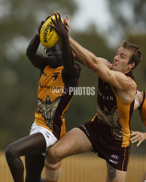 AFL 2023 Training - Hawthorn Intra-Club 150223 - 1028542