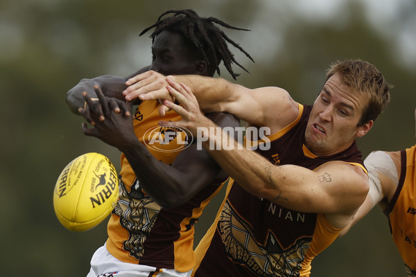 AFL 2023 Training - Hawthorn Intra-Club 150223 - 1028541