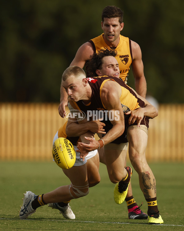 AFL 2023 Training - Hawthorn Intra-Club 150223 - 1028603