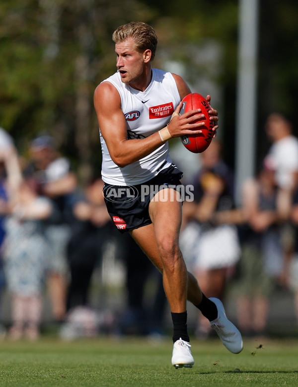 AFL 2023 Training - Collingwood Intra-Club 170223 - 1028906