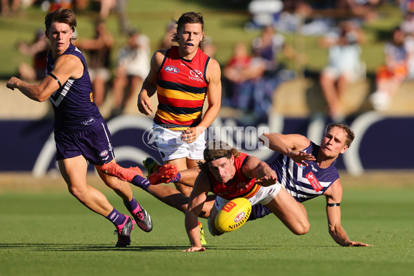 AFL 2023 Media - Fremantle v Adelaide Match Sim - 1030385