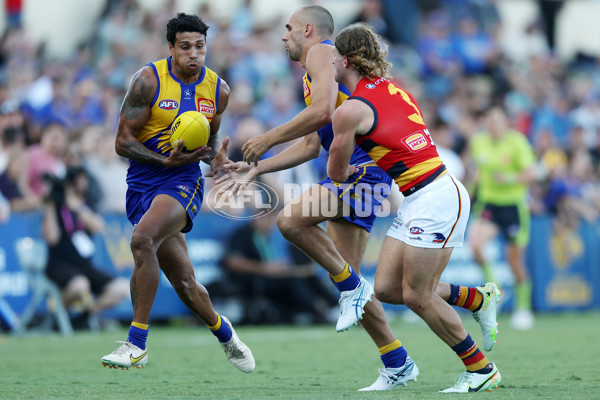 AFL 2023 Practice Match - West Coast v Adelaide - A-23088051