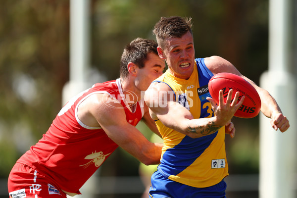 VFL 2023 Practice Match - Northern Bullants v Williamstown - A-23088057