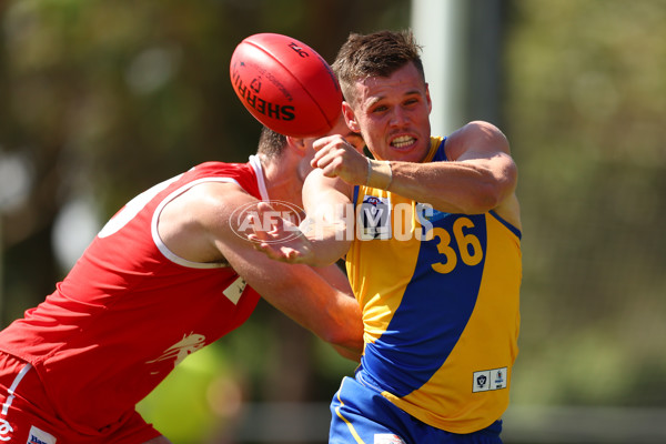 VFL 2023 Practice Match - Northern Bullants v Williamstown - A-23088067