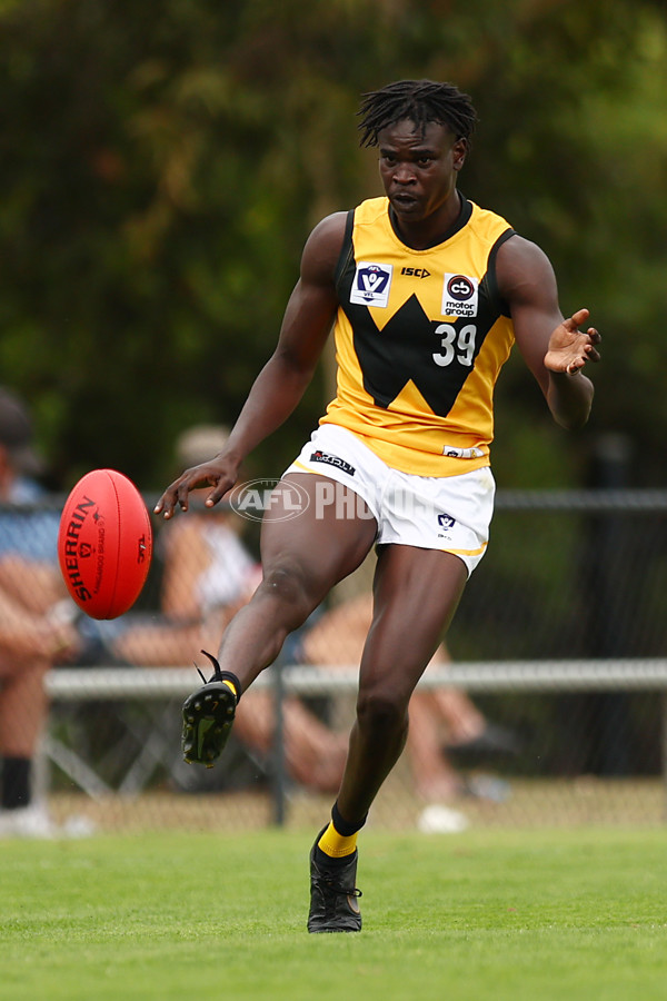 VFL 2023 Practice Match - Frankston v Werribee - A-23092781