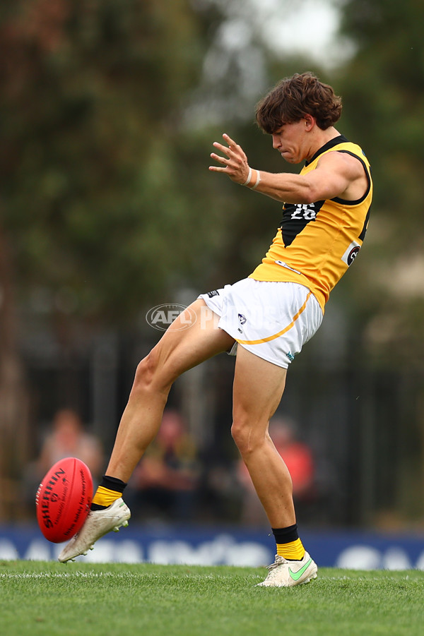 VFL 2023 Practice Match - Frankston v Werribee - A-23092800