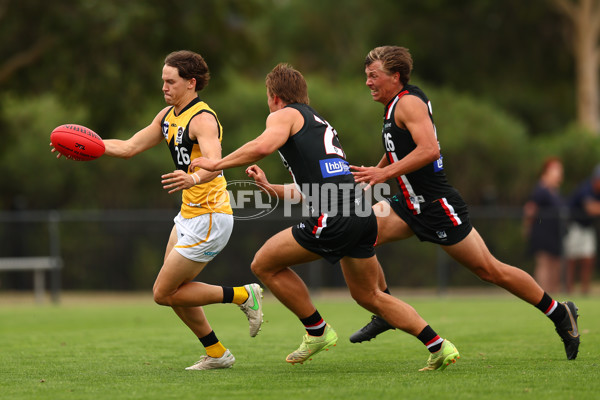 VFL 2023 Practice Match - Frankston v Werribee - A-23093065