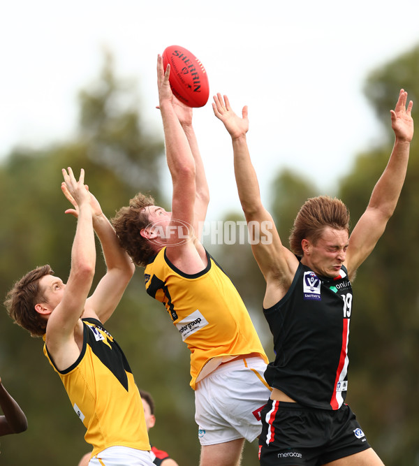 VFL 2023 Practice Match - Frankston v Werribee - A-23093138