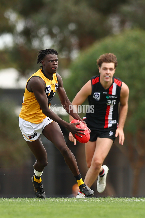 VFL 2023 Practice Match - Frankston v Werribee - A-23093143