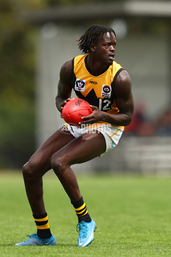 VFL 2023 Practice Match - Frankston v Werribee - A-23097502