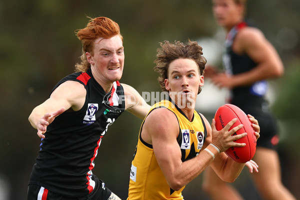 VFL 2023 Practice Match - Frankston v Werribee - A-23097503