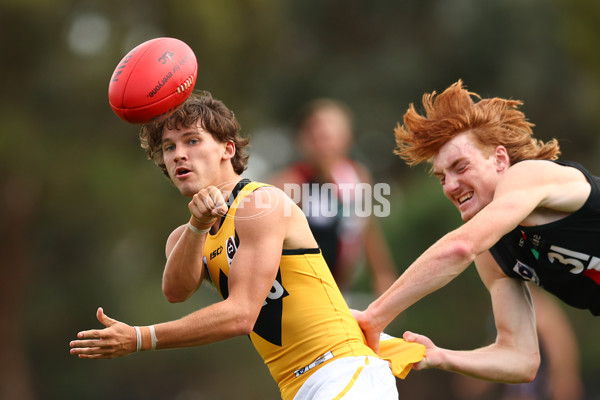 VFL 2023 Practice Match - Frankston v Werribee - A-23097507