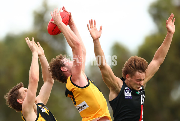 VFL 2023 Practice Match - Frankston v Werribee - A-23097508