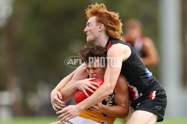 VFL 2023 Practice Match - Frankston v Werribee - A-23098109