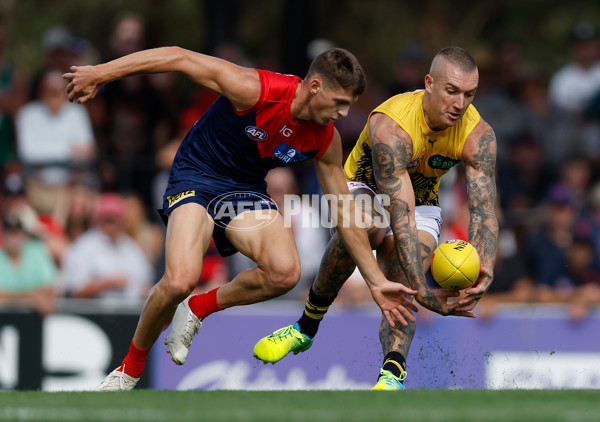 AFL 2023 Practice Match - Melbourne v Richmond - A-23098154