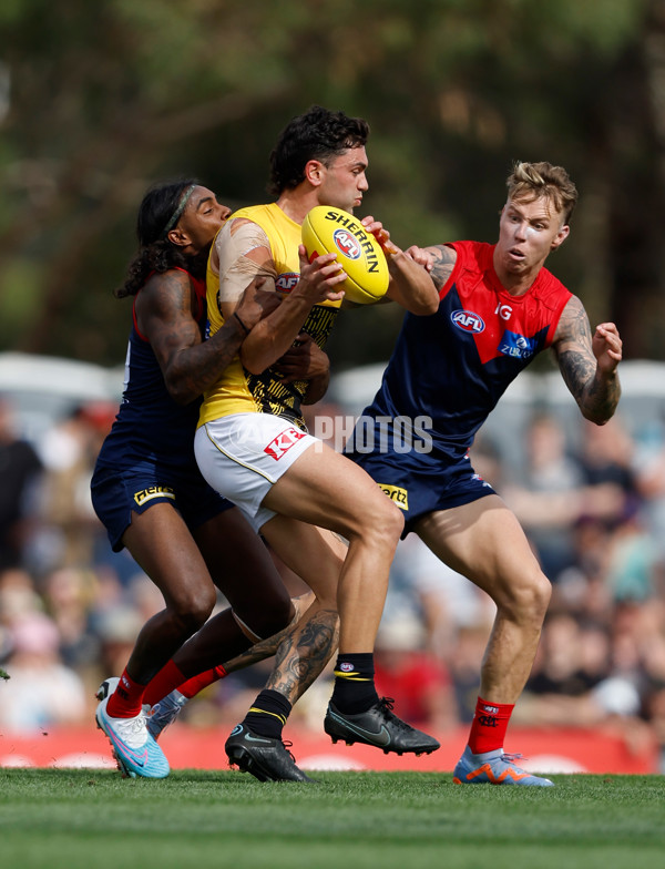 AFL 2023 Practice Match - Melbourne v Richmond - A-23098156