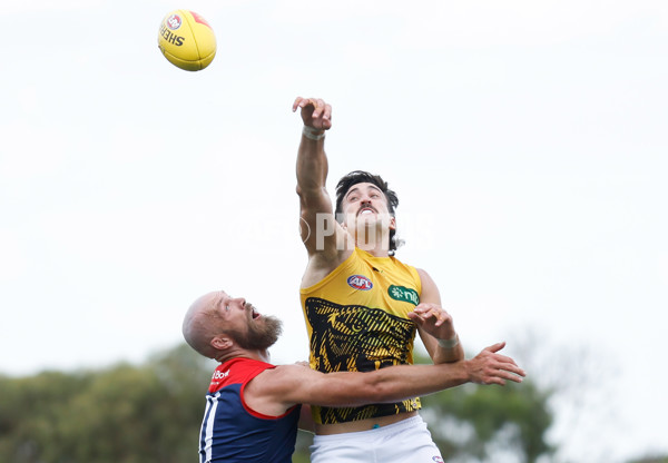 AFL 2023 Practice Match - Melbourne v Richmond - A-23098192