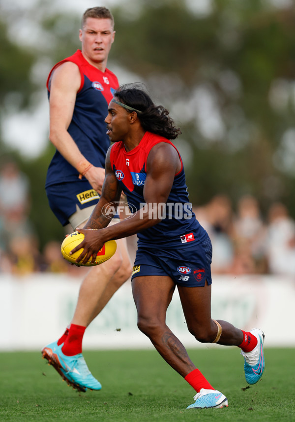AFL 2023 Practice Match - Melbourne v Richmond - A-23102574