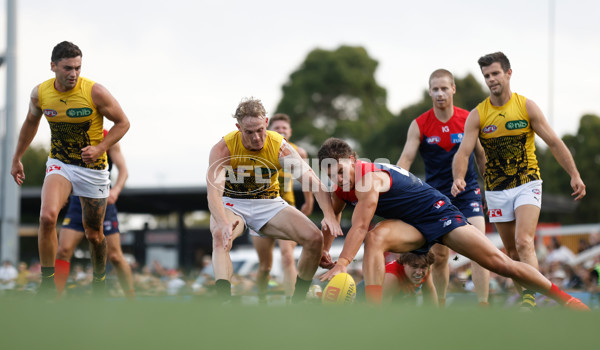 AFL 2023 Practice Match - Melbourne v Richmond - A-23103356