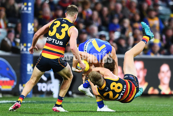 AFL 2021 Round 18 - Adelaide v West Coast - 872858