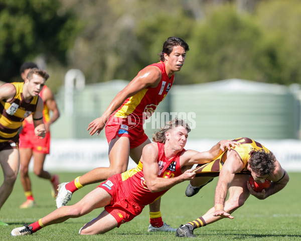 VFL 2021 Round 15 - Aspley v Gold Coast - 873627