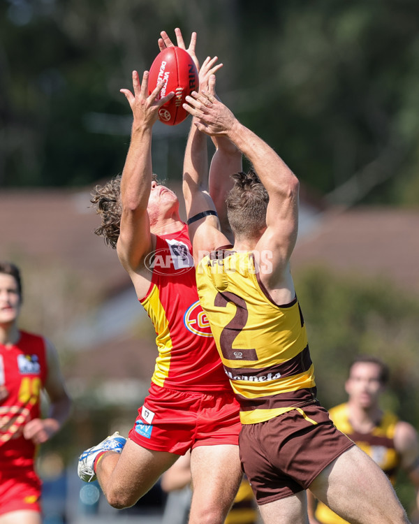 VFL 2021 Round 15 - Aspley v Gold Coast - 873645