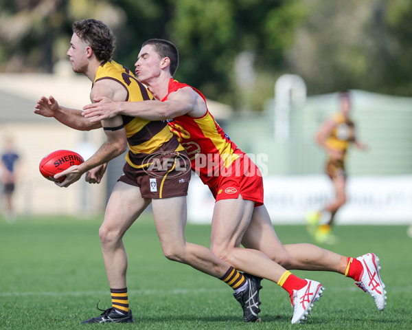 VFL 2021 Round 15 - Aspley v Gold Coast - 873647