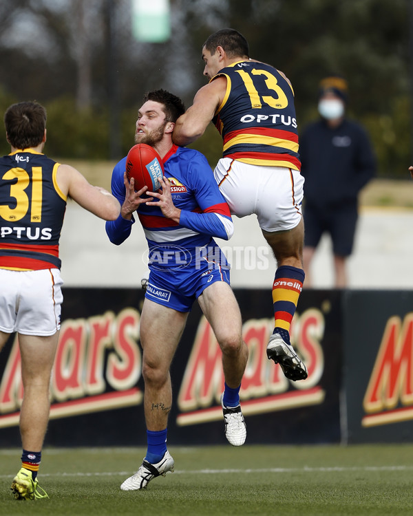 AFL 2021 Round 20 - Western Bulldogs v Adelaide - 876074