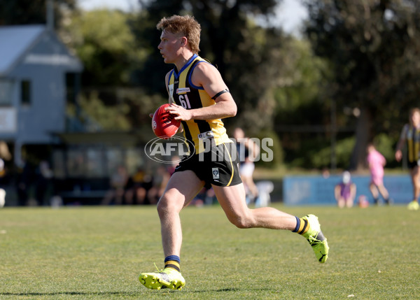 VFL 2021 Round 16 - Sandringham v Carlton - 876159