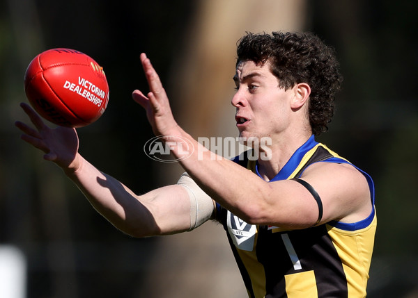 VFL 2021 Round 16 - Sandringham v Carlton - 876180