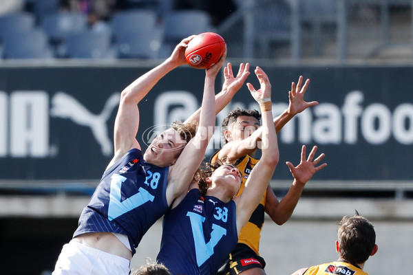 2022 AFL U18 Championships - Vic Metro v Western Australia - 968897