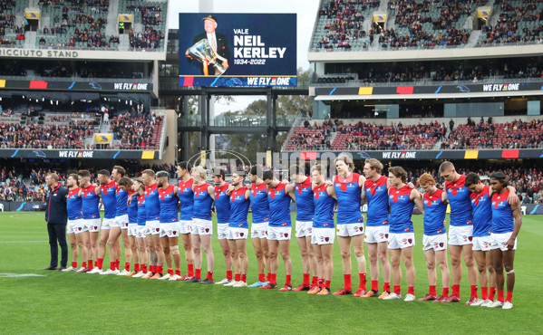 AFL 2022 Round 16 - Adelaide v Melbourne - 969231