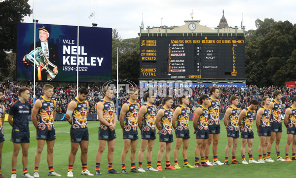 AFL 2022 Round 16 - Adelaide v Melbourne - 969209
